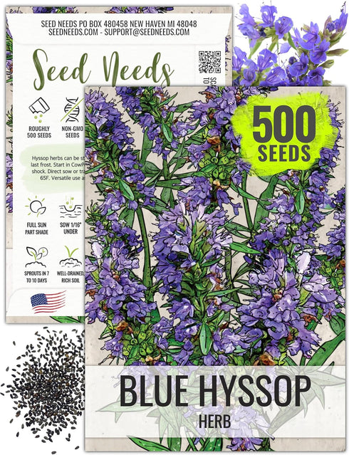 Seed Needs Hyssop Seeds for Planting Blue Hyssop Herbs - Non-GMO Heirloom