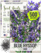 Seed Needs Hyssop Seeds for Planting Blue Hyssop Herbs - Non-GMO Heirloom