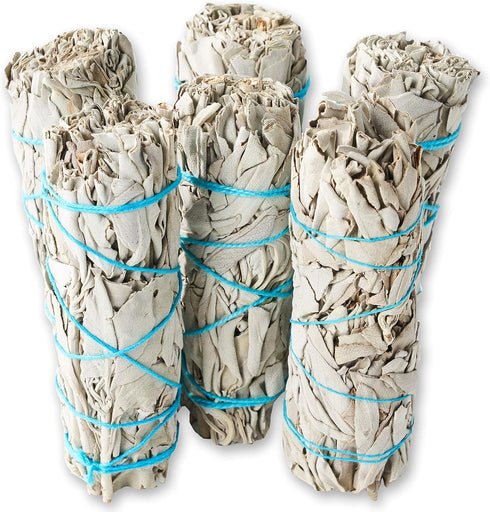 6 Pack White Sage Smudge Sticks for Cleansing Energy, Sustainably Grown, Bulk/Wholesale