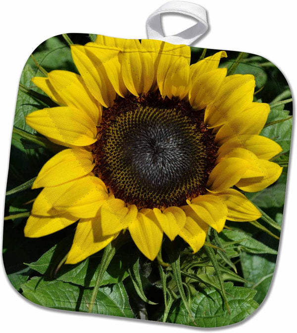 3D Rose Sunflower Pot Holder, 8" x 8"