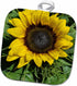 3D Rose Sunflower Pot Holder, 8" x 8"