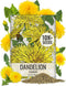 Seed Needs Dandelion Seeds for Planting Fresh Herbs | 10,000+ Untreated Seeds