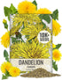 Seed Needs Dandelion Seeds for Planting Fresh Herbs | 10,000+ Untreated Seeds