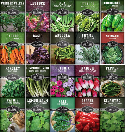 Hydroponic & Indoor Garden Seed Kit 20 Compact Heirloom Vegetable & Herb