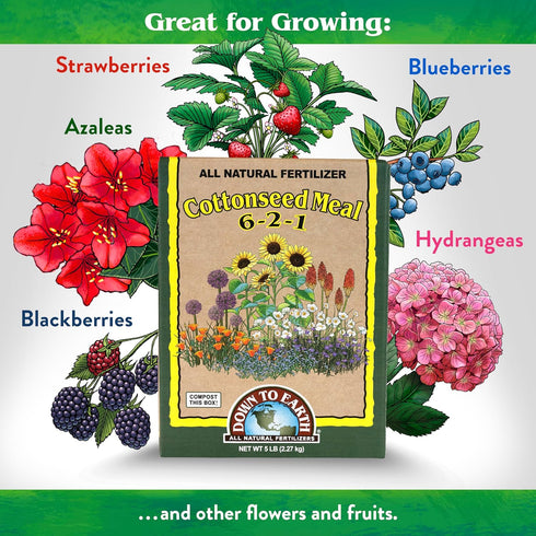6-2-1, 5 lb Down To Earth All Natural Fertilizers Organic Cottonseed Meal - Plant Food for Low pH Acid Soil Loving