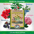 6-2-1, 5 lb Down To Earth All Natural Fertilizers Organic Cottonseed Meal - Plant Food for Low pH Acid Soil Loving