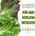 Pack 2 Packets Seed Needs Romaine Lettuce Seeds Variety for Planting a Collection of Individual Varieties - Include Red