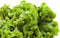 Hometown Seeds Southern Giant Curled Mustard Seeds