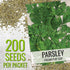 (1 Pack) Seed Needs Italian Flat Leaf Parsley Seeds for Planting - Non-GMO, Heirloom & Untreated - Culinary Herbs