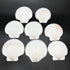 PEPPERLONELY 8 PC Large Great Scallop Sea Shells, Irish Baking Shells, 3 Inch ~ 4 Inch