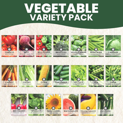 20 Packets Pack 2026 Packed Vegetable Seed | Survival Variety | Season | Individually Vegetables, Herbs and Fruits |