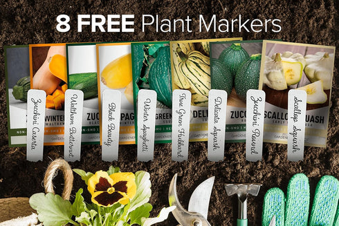 8 Packets Gardeners Basics, Squash Seeds for Planting Individual - Zucchini, Delicata, Butternut, Spaghetti, Scallop