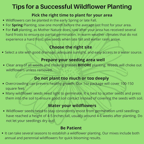 Wildflower Seeds Mix for Honey Bees 1oz - Premium Annual and Perennial Flower Seed Mix, Bulk Planting