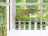 Set, Hydroponic Herb Growing Kit Self-Watering Mason Jar Herb Garden Starter Kit Indoor, Windowsill Herbs Garden. Grow
