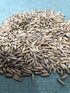 Oat Seeds Magic Grow 1 Lb (3000+ Oat Seeds Seeds)- Cat,Dog,Pets- Oat Grass Seeds