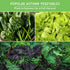 8 Packs Pack Fall & Winter Vegetable Seed Collection of Non-GMO Heirloom Seeds for Planting Vegetables | Autumn