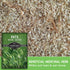 (2 Packs) Oat Seeds for Planting Heirloom Avena Sativa Milky Oats Medicinal Herb & Oatstraw for Tea, Tinctures