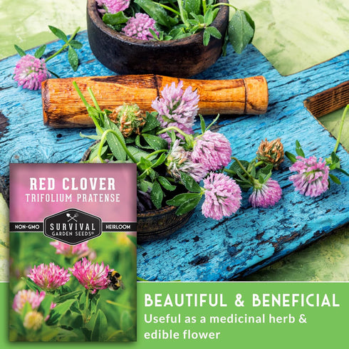 (1 Pack) Red Clover Seeds for Planting Nitrogen-Fixing Cover Crop & Ground Cover for Soil Building and Pollinators