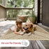 nuLOOM 2x3 Landry Aztec Indoor/Outdoor Accent Rug, Beige