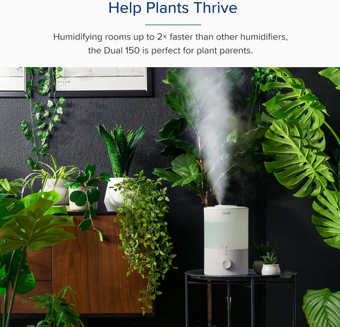 Light(3L 360 Nozzle, LEVOIT Humidifiers for Bedroom with Night Water Tank)Cool Mist Top Fill Essential Oil Diffuser