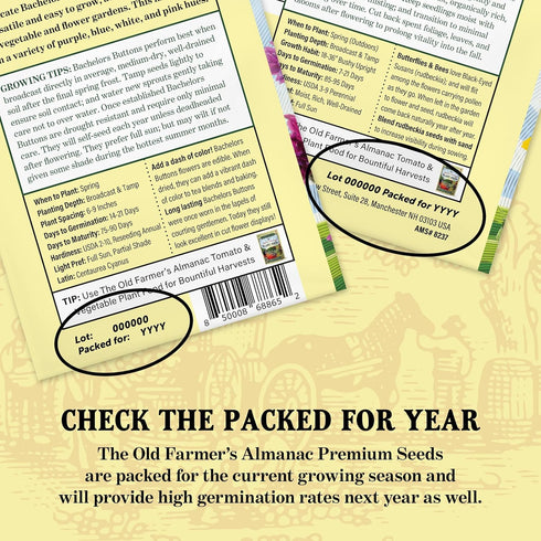 The Old Farmer's Almanac (1 Packet 1 250 Red Creole Onion Seeds - Heirloom, Non-GMO, Premium Quality, Open Pollinated
