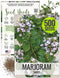 Seed Needs Sweet Marjoram Seeds for Planting - Heirloom, Non-GMO & Untreated