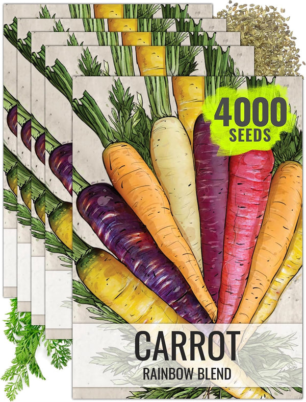 Seed Needs Carrot Seeds for Planting Rainbow Carrots - Non-GMO Heirloom &