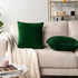 PAVILIA Emerald Green Throw Pillow Covers, 18x18 Set of 2, Decorative Pillow Cases for Bed Sofa Couch, Velvet Square