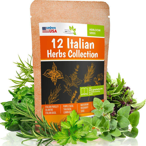 12 Italian Herb Seeds Pack - Heirloom and Non GMO, Grown in
