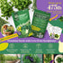 25 Pack 13,055+ Culinary Herb Seeds Variety - Non-GMO Heirloom Herbs Seeds for Planting Indoor & Outdoor: Rosemary