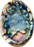 Hand Selected Abalone Shell - 6 Inches or Larger, Perfect for Incense and Trinkets