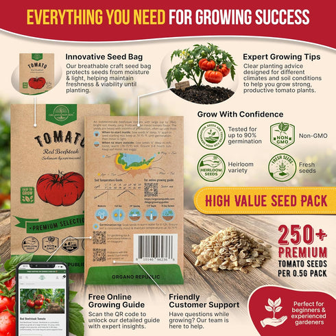 Pack 0.5 250 Packet, Red Beefsteak Tomato Seeds G - Over Non-GMO Heirloom Tomato Seeds for Planting Vegetables