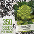 (2 Packs) Seed Needs Cauliflower Seeds for Planting Romanesco Broccoli/Cauliflowers - Non-GMO Heirloom & Untreated