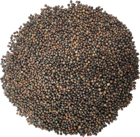 1 Food to Live - Kale Seeds, Pound - Great for Sprouting and Planting, High Germination Rate, Non-Irradiated, Kosher