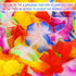 Aneco 6 Pack Colorful Hawaiian Luau Tropical Flower Lei Garland, 10 Feet Each