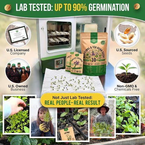 30 Pack 15,560+ Organo Republic Medicinal & Tea Herb Seeds Variety Non-GMO Heirloom Garden Seeds for Indoor & Outdoors