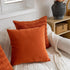 FEVERQIYI 20x20 Velvet Pillow Covers Set of 2 – Burnt Orange Decorative Square Throw Pillowcase Soft Solid Cushion