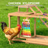 Multi-Functional Chicken Perch with Swing and Xylophone Toy