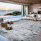 Area Rugs Living Room Rug - 5x7 Washable Modern Abstract Soft Neutral