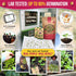 25 Pack 10900+ Organo Republic Medicinal & Tea Herb Seeds Variety for Indoor & Outdoors. Non-GMO Heirloom Garden Seeds: