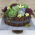 Set 3 Global Sugar Art Succulents Sugar Cake Flowers, of by Chef Alan Tetreault
