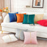 TAOSON Covers,Pack 2 Bed,18x18 inch Dark Orange Velvet Throw Pillow of with Gold Leather Valentines Day Decor Couch