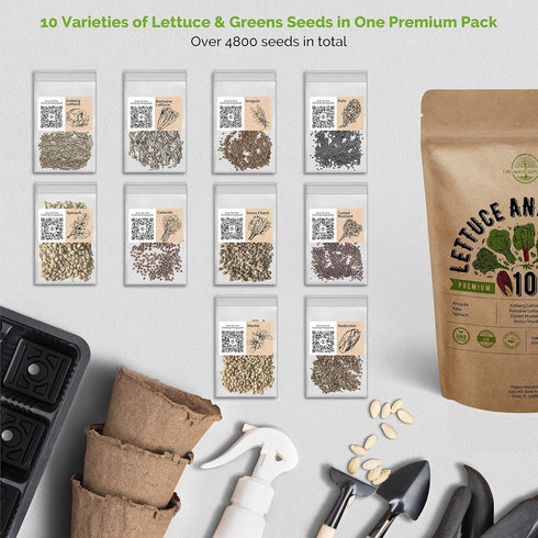 10 Pack 4800+ Organo Republic Lettuce & Salad Greens Seeds Variety Non-GMO Heirloom Lettuce Seeds for Planting Indoors