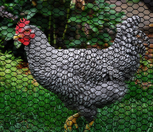 (4' 25' Boen - Plastic Hex Chicken Wire Mesh Temporary Fence Roll x - Black) - Plastic Fence Poultry Netting