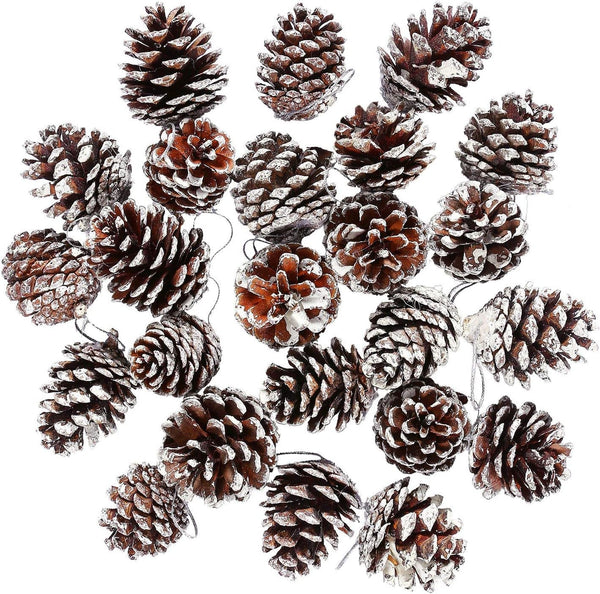 Cooraby 24 Pieces Christmas Pine Cones Ornament, Natural with String for Tree Decoration (Snow)