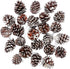 Cooraby 24 Pieces Christmas Pine Cones Ornament, Natural with String for Tree Decoration (Snow)