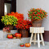 Artificial Fall Flowers Outdoor Fake Mums - 12 Bundles UV Resistant No Fade Faux Plastic Greenery for Garden Porch