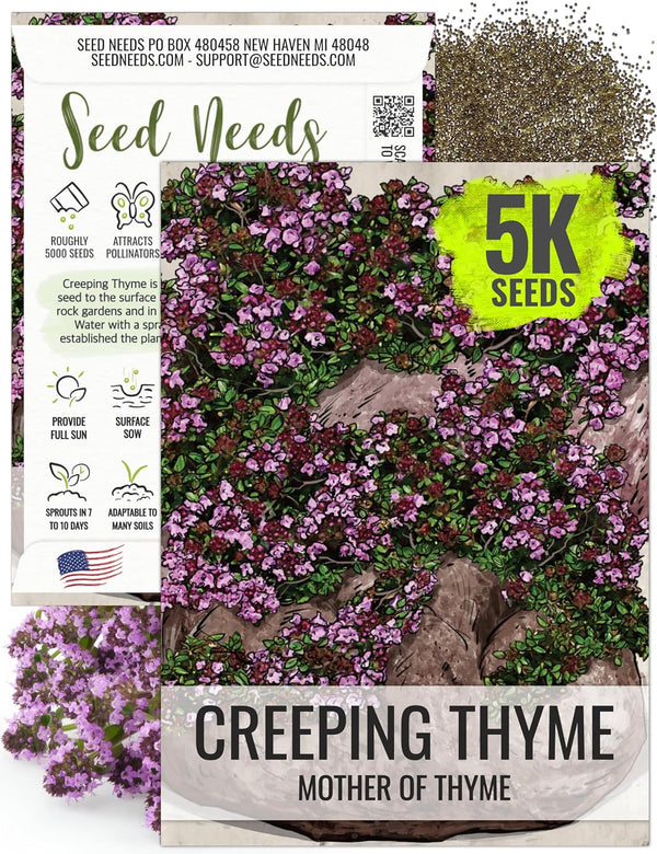 Seed Needs, Mother of Thyme Creeping Thyme Seeds 5,000 Seeds for Planting