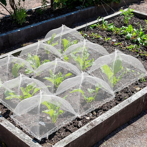 NODMIPNS 4 Sets Strawberry Plant Supports with Plant Protectors from Animals,Strawberry Growing Support Stakes