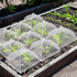 NODMIPNS 4 Sets Strawberry Plant Supports with Plant Protectors from Animals,Strawberry Growing Support Stakes
